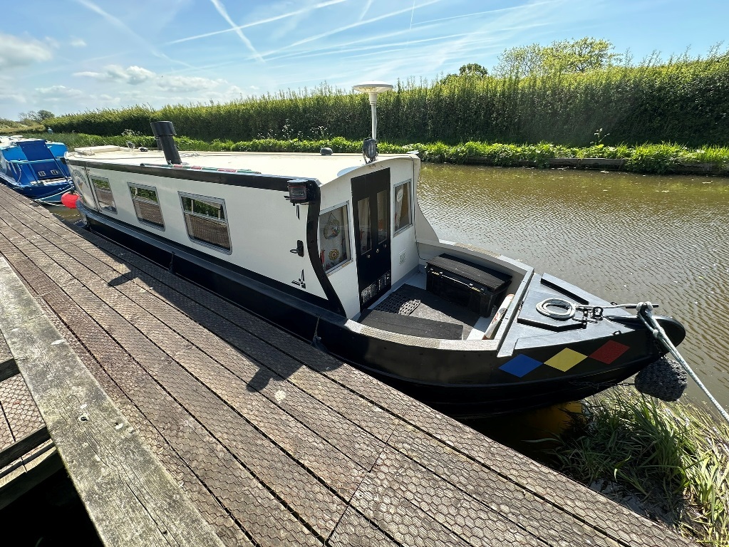 Kingfisher001