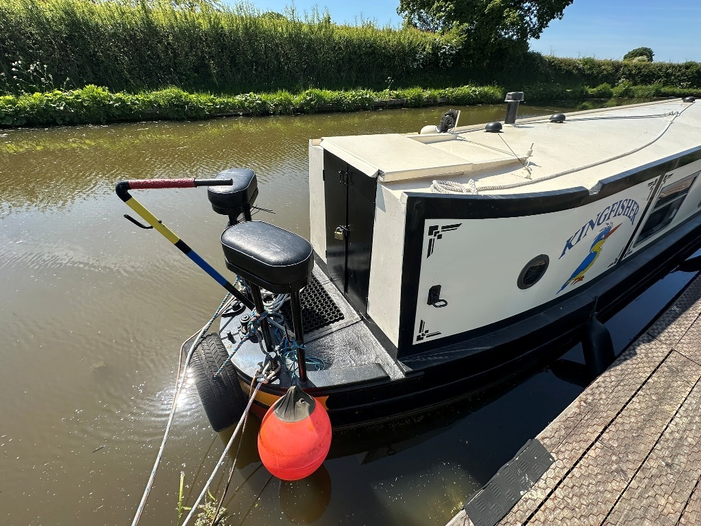 Kingfisher002
