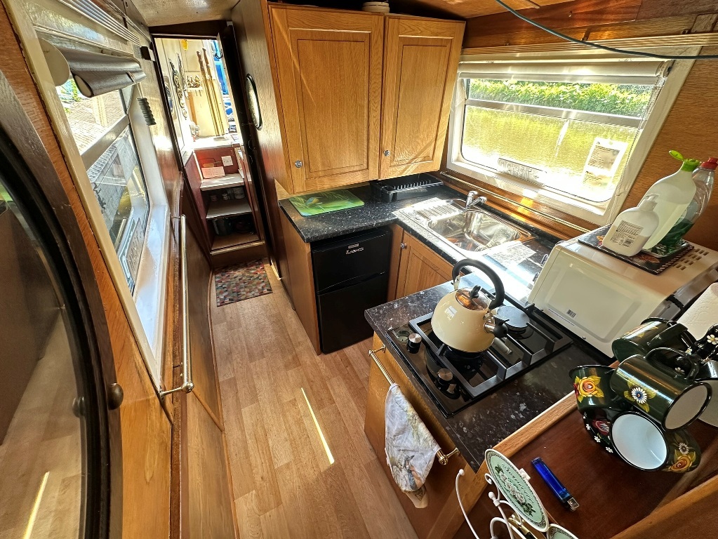 Kingfisher005
